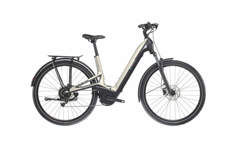Bianchi e-Vertic C-Type X5 9v