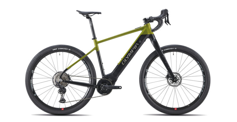 Olympia Sled 12s - immagine 2