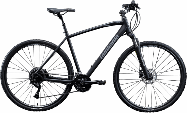 Lombardo Amantea 300