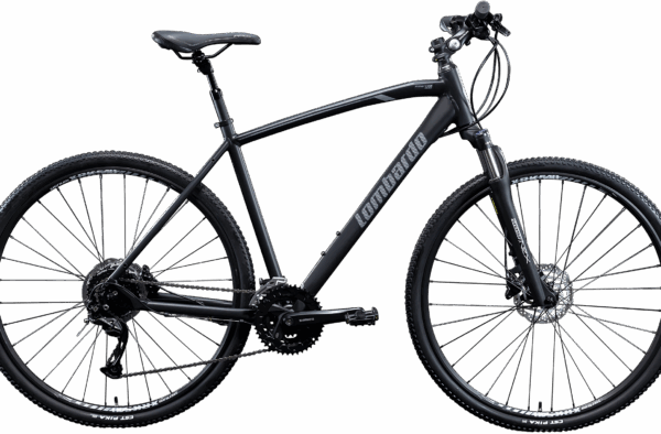 Lombardo Amantea 300