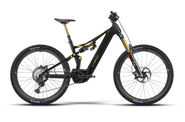 Whistle B-Rush C12.5 SL