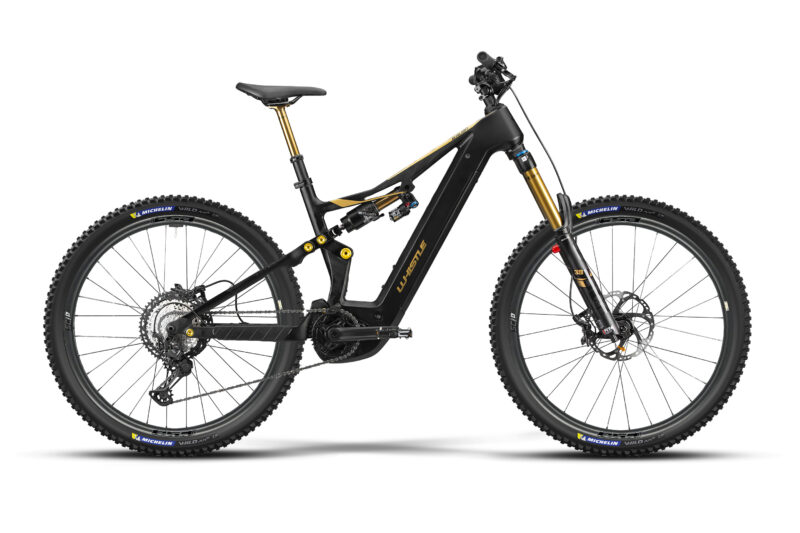 Whistle B-Rush C12.5 SL