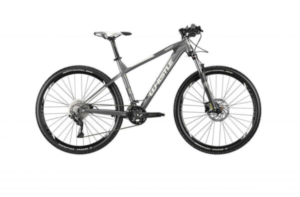 Whistle MIWOK 2160