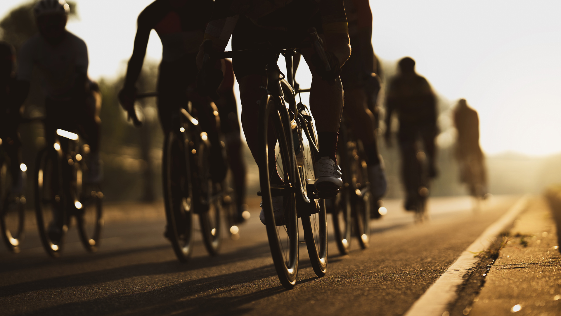 Ciclisti in sella a bici da competizione corrono su strada al tramonto.
